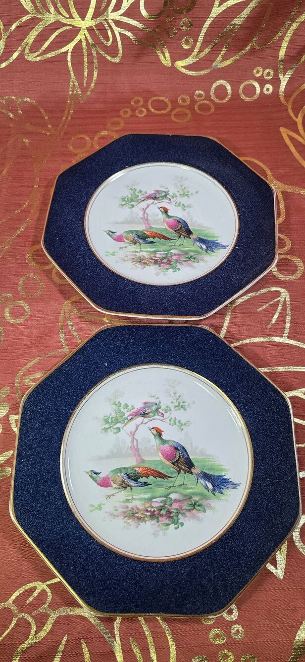 Wedgwood & Co. England Imperial Porcelain plates